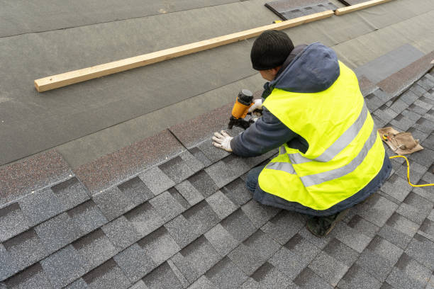 Best Asphalt Shingle Roofing  in Palestine, IL