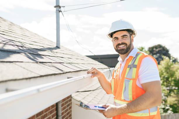 Best Chimney Flashing Repair  in Palestine, IL