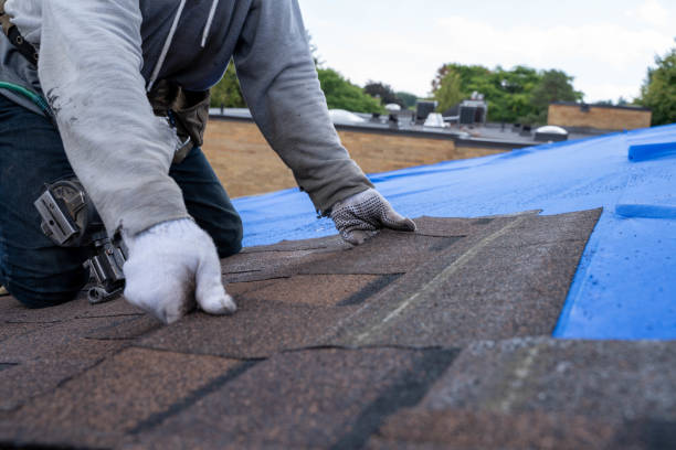 Best Green or Eco-Friendly Roofing Solutions  in Palestine, IL