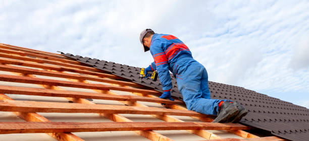 Best Roof Insulation Installation  in Palestine, IL