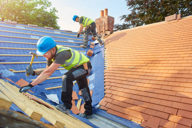 Best Flat Roofing  in Palestine, IL